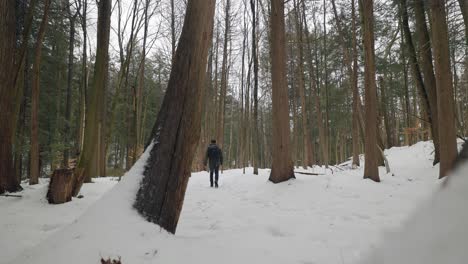 Static-shot-of-Hiker-with-backpack-in-Snow-Covered-Winter-Forest-Walking