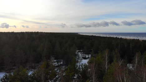 Scenic-aerial-top-view-of-beautiful-spruce-tree-forest-next-to-the-seaside-with-land-covered-in-snow-on-a-sunny-winter-day