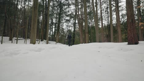 Static-shot-of-Hiker-Walking-away-with-Backpack-through-Snow-Covered-Winter-Forest
