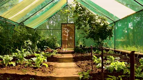 Man-leaving-a-greenhouse,-agriculture-homesteading