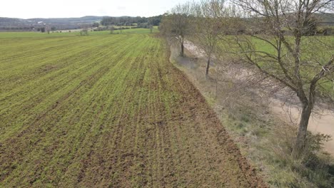 Luftaufnahmen-Mit-Drohne-Eines-Feldes-In-Der-Gegend-Von-Girona-Spanien-Grüne-Landschaft-Natur-ökologischer-Landbau-Bewegung-Nach-Rechts-über-Einen-Feldweg