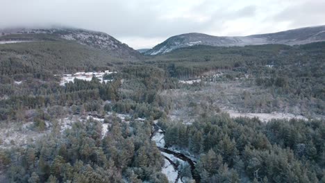 Aerial-drone-footage-facing-towards-a-valley-and-mountains-in-winter-whilst-descending-into-the-snow-covered-canopy-of-a-Scots-pine-forest-in-the-Cairngorms-National-Park,-Scotland