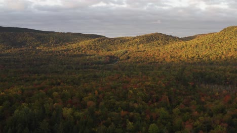 Colors-of-Fall-wide-landscape-shot-deciduous-woodland-wilderness