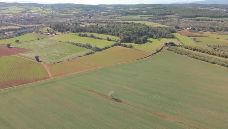 Luftaufnahmen-Mit-Drohne-Eines-Feldes-In-Der-Gegend-Von-Girona-Spanien-Grüne-Landschaft-Natur-ökologischer-Landbau-Flüge-Voraus-Berge-Im-Hintergrund