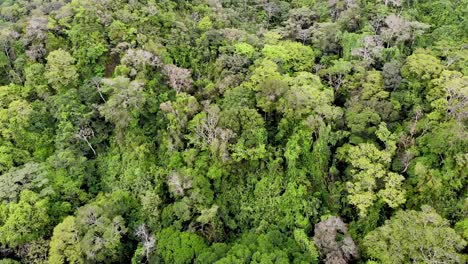 Dense-jungle-canopy-of-Valle-de-Anton-volcanic-crater-in-central-Panama,-Aerial-tilt-down-flyover-shot