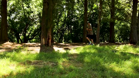 Man-jogging-through-the-shadowy-forest.-Side-view