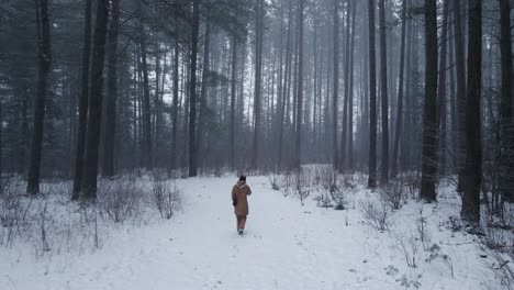 Young-women-walking-into-a-pine-forest-during-a-snowstorm-in-rural-Canada