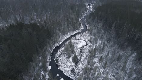 Establecimiento-De-Una-Toma-De-Drones-De-Una-Hermosa-Escena-Invernal-De-Un-Bosque-De-Pinos-Durante-Una-Tormenta-De-Nieve-En-Las-Zonas-Rurales-De-Canadá