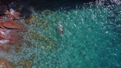 Luftaufnahmen-Von-Oben-Nach-Unten-Einer-Frau,-Die-In-Klarem,-Türkisfarbenem-Wasser-Schwimmt