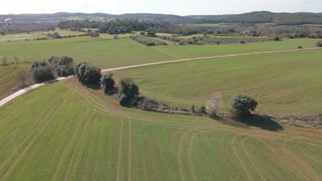 Vistas-Aéreas-Con-Drones-De-Un-Campo-En-El-área-De-Girona-España-Paisaje-Verde-Naturaleza-Agricultura-Orgánica-Deslizar-Hacia-La-Derecha