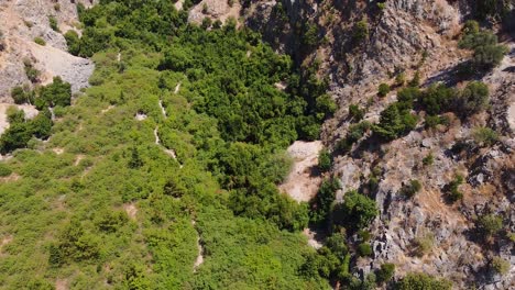 Aerial-top-down-dolly-shot-of-green-trees-and-rock-formation-in-valley