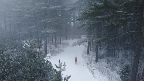 Establecimiento-De-Una-Toma-De-Drones-De-Una-Mujer-Joven-Caminando-Hacia-Un-Bosque-De-Pinos-Durante-Una-Tormenta-De-Nieve-En-Las-Zonas-Rurales-De-Canadá