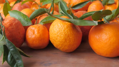 Close-Up-Of-Organic-Tangerines-Freshly-Picked-From-The-Tree