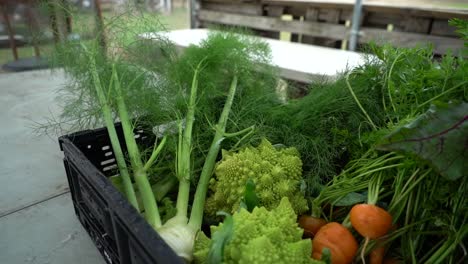 Eine-Kiste-Mit-Gemüse-Steht-Auf-Einem-Tisch