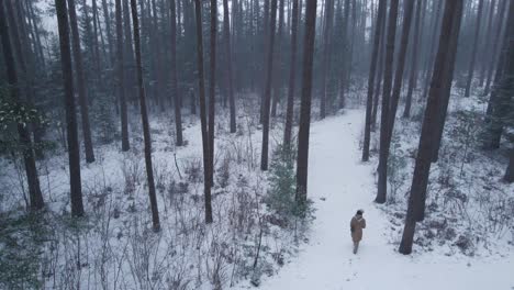 Downwards-panning-drone-shot-of-a-young-women-walking-into-a-pine-forest-during-a-winter-storm-in-rural-Canada