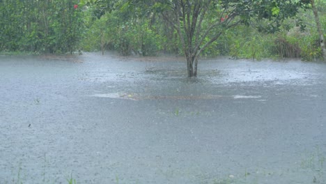 Heavy-rain-over-a-lake-in-Joya-de-los-Sachas,-Ecuador,-South-America