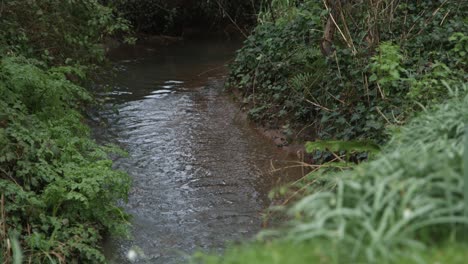 A-babbling-brook-in-the-Somerset-countryside