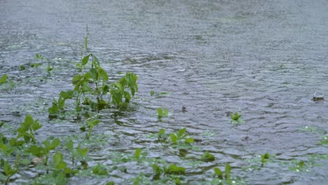 Fuertes-Lluvias-Cayendo-En-La-Superficie-De-Un-Lago-Durante-Una-Tormenta-Tropical