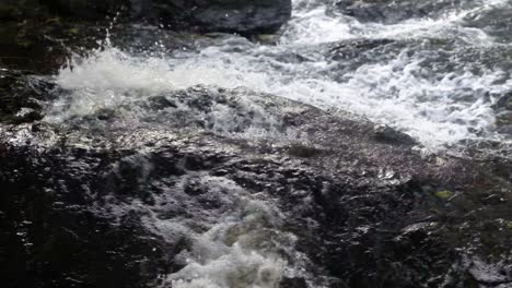White-water-splashing-over-rocks-in-fast-flowing-river---slow-motion