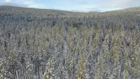Drohne-Steigt-Von-Bäumen-Auf-Und-Dreht-Sich-Nach-Rechts-Und-Zeigt-Die-Berge-Rund-Um-Die-Stadt-Atna,-Stor-Elvdal-In-Norwegen