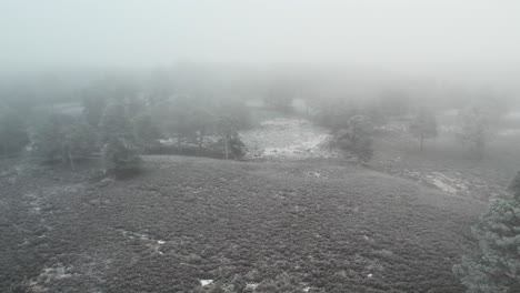 Cinematic-drone-footage-reversing-above-frost-covered-heather-moorland-and-ancient-Scots-pine-trees-through-frozen-fog-in-winter