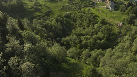Mountain-Slope-Covered-By-Green-Trees-In-The-Small-Town-Of-Bakuriani-In-Georgia