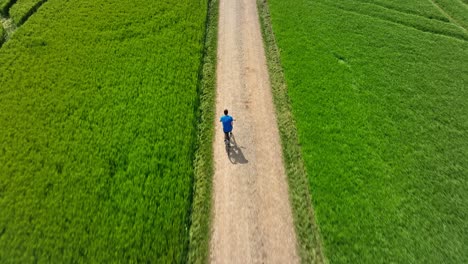 Summer-vibes---a-male-bicycle-rider-rides-along-a-green-growing-field-at-summertime---tracked-by-a-drone-in-4K