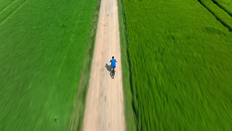 Paseo-De-Verano-En-Bicicleta-Por-Un-Hombre-Que-Conduce-A-Lo-Largo-De-Un-Campo-Verde,-Filmado-Desde-Atrás,-Seguido-Por-Un-Dron
