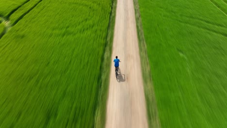 A-man-riding-a-bicycle-rides-along-a-green-meadow-in-summer-time---with-a-motion-blur-effect