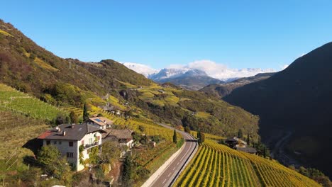 Aerial-Drone-Over-the-Vineyards-in-Autumn-in-Ritten,-Alto-Adige-in-Italy
