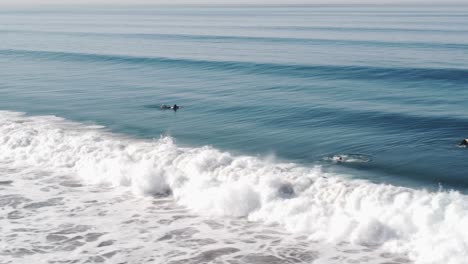 A-beautiful-aerial-drone-shot,-drone-tracking-surfers-swimming-with-their-surfboards-in-the-ocean-preparing-for-a-wave,-Carlsbad-State-Beach---California