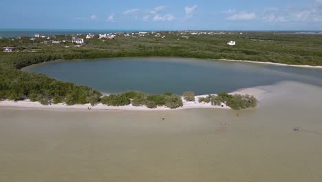 Wide-angle-drone-shot-panning-downwards-of-the-mangrove-meeting-the-Caribbean-sea-and-white-sandy-beaches-off-the-coast-of-the-tropical-island-of-Holbox-in-Mexico-shot-in-4k