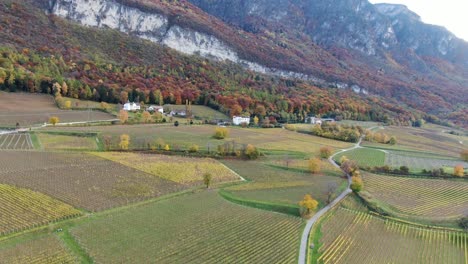 Flugdrohne-über-Den-Weinbergen-Im-Herbst-In-Südtirol