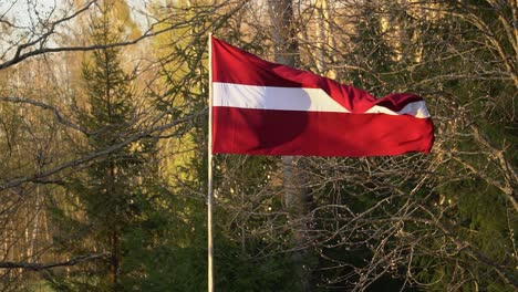 Bandera-De-Letonia-Moviéndose-Lentamente-Y-Ondeando-En-El-Viento-Con-Un-Bosque-Verde-En-El-Fondo