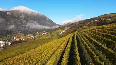 Aerial-Drone-Over-the-Vineyards-in-Autumn-in-Novacella,-Neustift-South-Tyrol