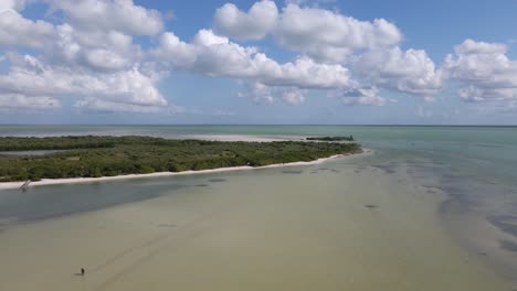 Wide-angle-drone-shot-of-where-the-mangrove-meets-the-Caribbean-sea-off-the-coast-of-the-beautiful-tropical-island-of-Holbox-during-a-hot-sunny-day-in-Mexico-shot-in-4k