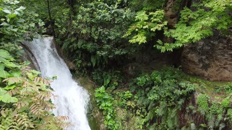 waterfall-in-the-middel-of-the-jungle