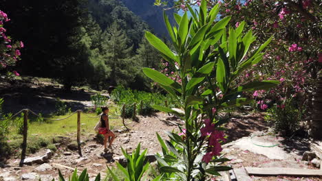 Young-girl-hiking-in-Samaria-Gorge-between-flowers-on-a-sunny-day