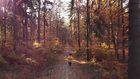 Person,-Die-Durch-Den-Herbstwald-Mit-Balken-Durch-Bäume-Mit-Fallenden-Blättern-Läuft
