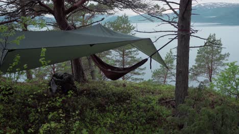 Hammock-Hanging-On-A-Tree-Under-Waterproof-Canopy