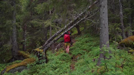 Female-Hiker-With-Backpack-Following-Her-Dog-Walking-In-The-Forest