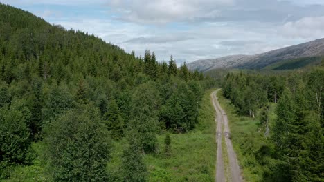 Car-Driving-On-Dirt-Road-Passing-By-Coniferous-Forest-In-The-Mountain-At-Daytime