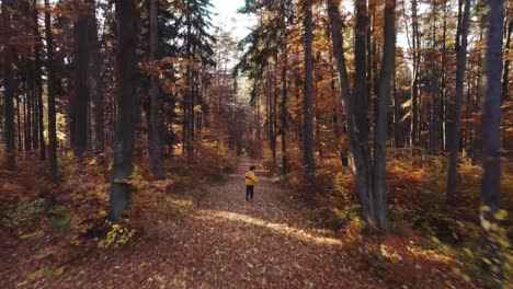 Person,-Die-Durch-Den-Herbstwald-Mit-Balken-Durch-Bäume-In-Zeitlupe-Mit-Fallenden-Blättern-Läuft