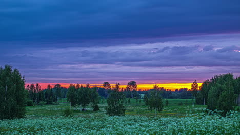 Schöne-Landschaftsansicht-Von-Blauen-Wolken,-Die-Während-Der-Abendzeit-Im-Zeitraffer-über-Grüne-Wiesen-Entlang-Birken-In-Ländlicher-Umgebung-Vorbeiziehen