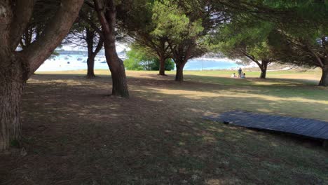 People-resting-and-interacting-under-the-trees-with-the-beach-and-boats-in-the-background-on-a-sunny-summer-day