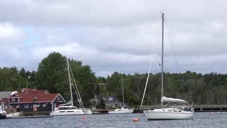 A-lot-of-sailboats-are-near-the-town