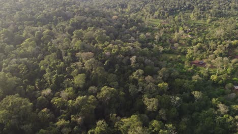 A-dynamic-aerial-footage-of-the-virgin-forest-in-Puerto-Iguazu-of-the-mbya-guarani-aboriginal-community,-Misiones-Province-in-Argentina