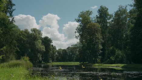Small-idyllic-peaceful-natural-woodland-lake-on-beautiful-summer-day