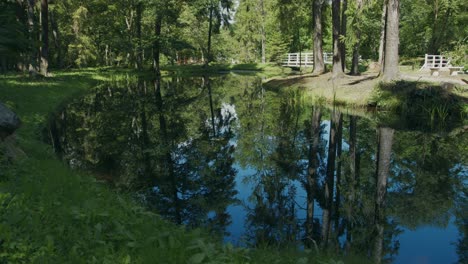 Water-reflections-of-tall-trees-and-blue-sky-in-shady-wooded-parkland
