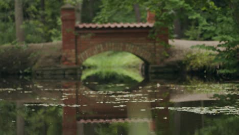 Red-brick-built-arch-footbridge-in-parkland-waterlily-pond-setting